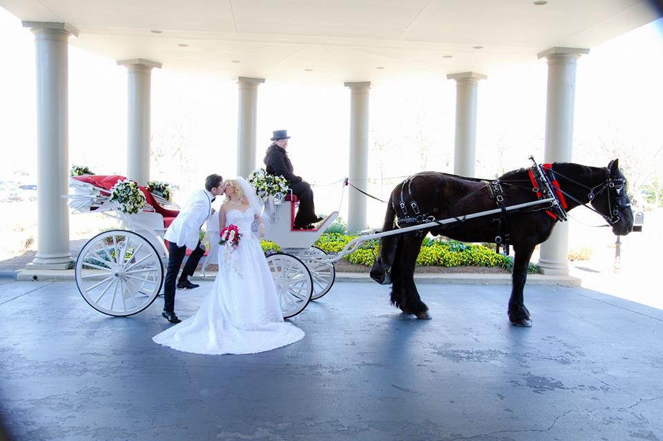 Horse and Carriages for weddings 