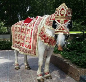 Horse trained  and Decorated for Indian Weddings and Baraats